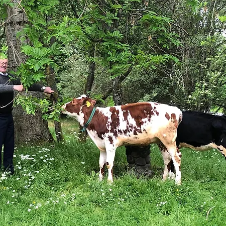 Hytte Pa Fjellet * Tjørvåg